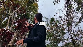 Konai X Diana Lima - Se O Sol Não Voltar Amanhã Masterctrl Remix