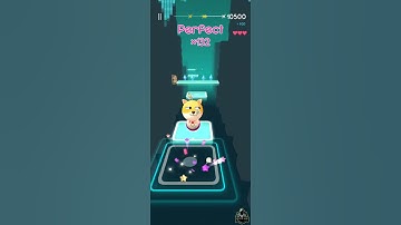 Happy Happy Happy Cat Dance | Magic Hop :EDM & Dancing | #shorts #shortsgame  #transformation