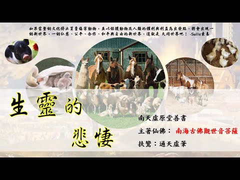 國語有聲善書【生靈的悲悽】南海觀世音菩薩著 第三十八章 生性霸道，螃蟹橫行 (妻小兒女別打罵，否則地獄苦果等著你！)