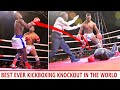 10sec top most brutal knockout ever golola the angry lion