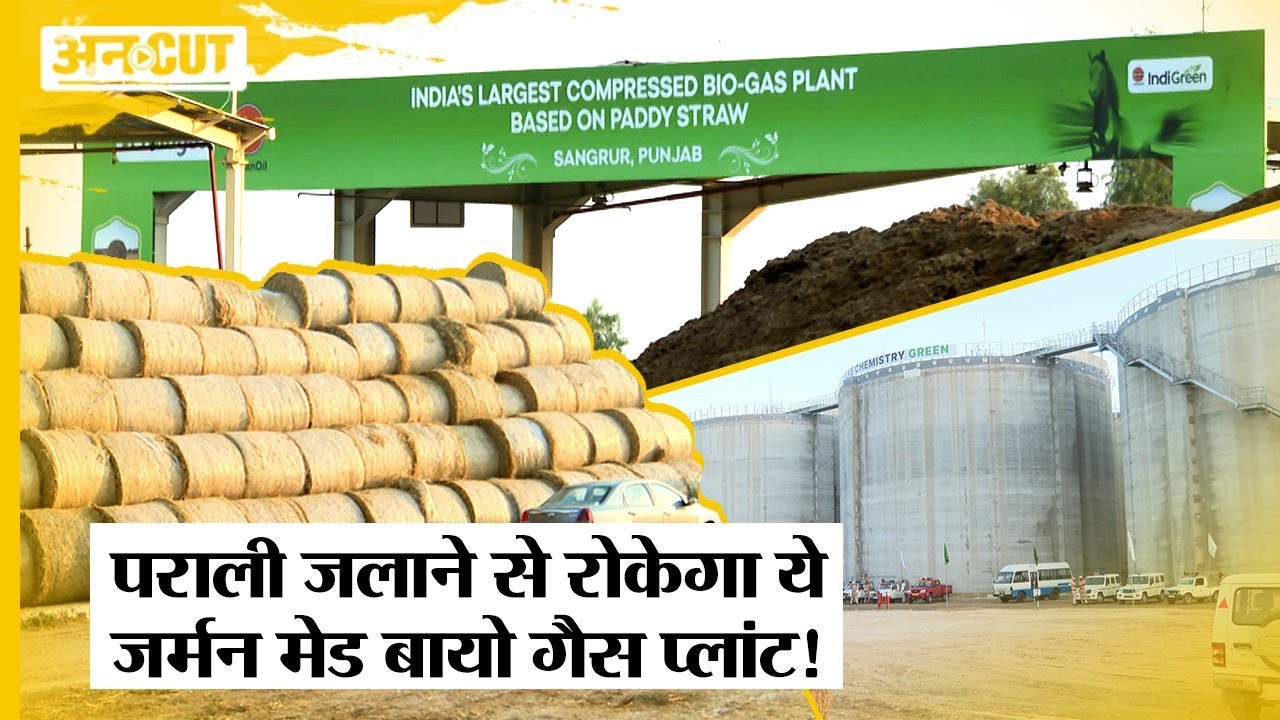 Punjab में लगा Parali से चलने वाला Bio Gas Plant, Delhi-NCR में कम होगा Pollution, घटेगा PM 2.5