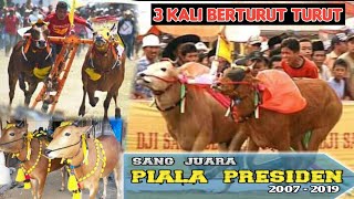 Deretan sapi yang pernah memegang tahta tertinggi PIALA PRESIDEN || Mulai Tahun 2007 Hingga 2019