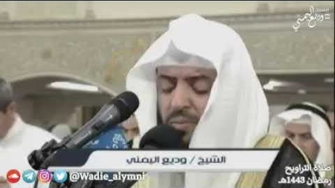 وديع اليمني تراويح 1443 رمضان ما تيسر من سورة يونس تلاوة ابداعية