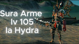 Sura Arme lv 105 farm chill la hydra, goblin si wb  - Metin2 ro Tigerghost