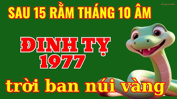 Đón Đầu May Mắn: Đinh Tỵ 1977 – Tiền Tài Về Cả Biển Sau Rằm Tháng 10 Âm