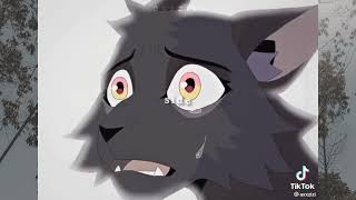 Warrior cats/My pride tiktoks