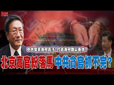 [0512精華]程曉農博士：北京高官紛落馬中共貪官抓不完 中共官員為何貪汙 打貪為何難以奏效