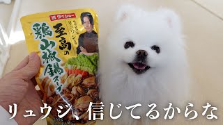 一人暮らし独身男とポメラニアンがリュウジを信じて至高の鍋を作った結果…