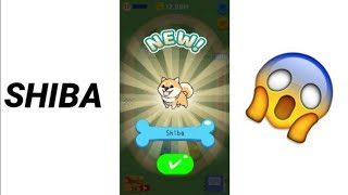 MERGE DOGS NEW DOG SHIBA #7 screenshot 5