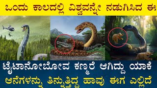 World Largest Snake Titanoboa interestingfacts unknownfacts mysteriousfacts kannada facts