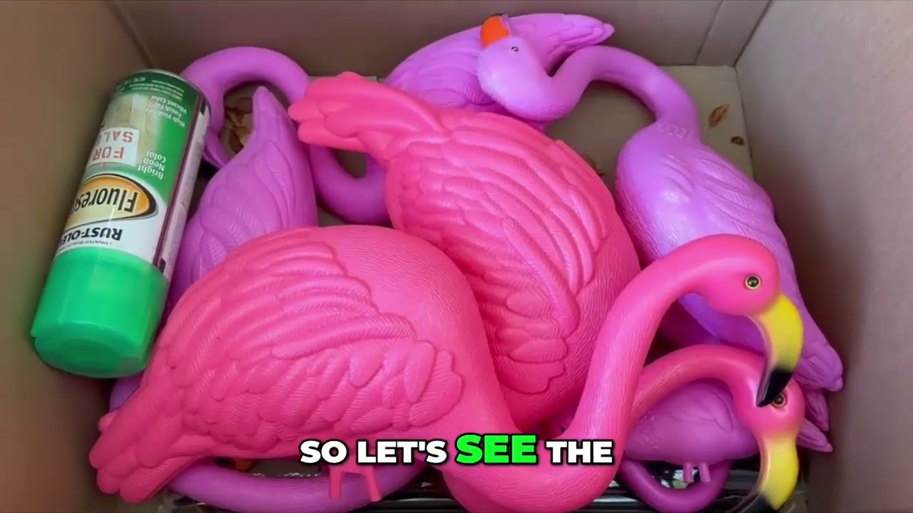 The Green Flamingo Project - YouTube