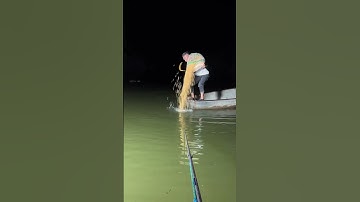 Xả Ổ Nhẹ Nhàng Câu Đêm 😂 #cauca #caudai #câucá #fishing #caucagiaitri