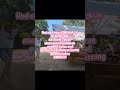 Danke für einen unvergesslichen Videodreh! #mallemama#ballermann#fyp