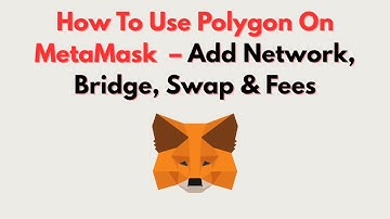 How To Use Polygon On MetaMask  – Add Network, Bridge, Swap & Fees
