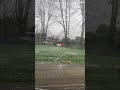 #nature #unitedkingdom #naturelovers #london #viral