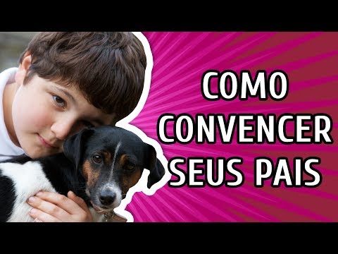 Vídeo: Como Persuadir A Mãe A Ter Um Cachorrinho