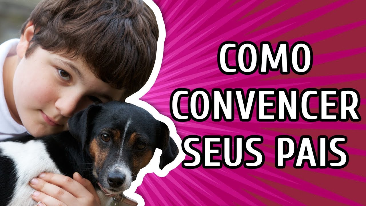 Tutor conta qual o lado difícil de ser 'pai de pet' e vídeo engraçado  recebe milhares de visualizações