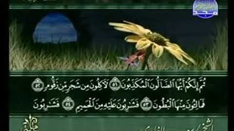 سورة الواقعة من الآية 51 الى الآية 96