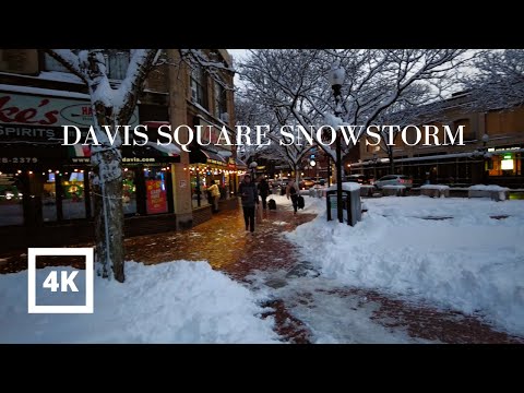 4K | Walking