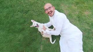 شريت كلب عمرة ٢٠ يوم !😭♥️