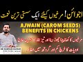 Use of ajwain carom seeds in chicken  anti coccidial anti pyretic anti fungal  anti bacterial