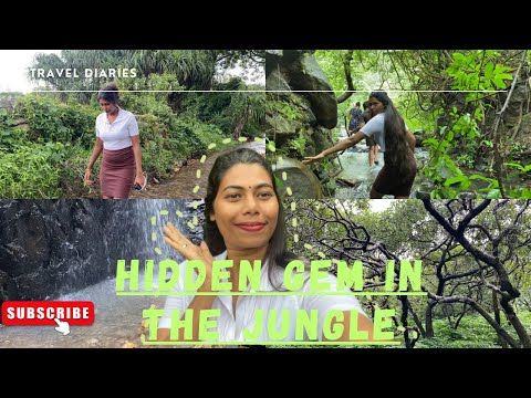 HIDDEN GEM In The Jungle Must Vist