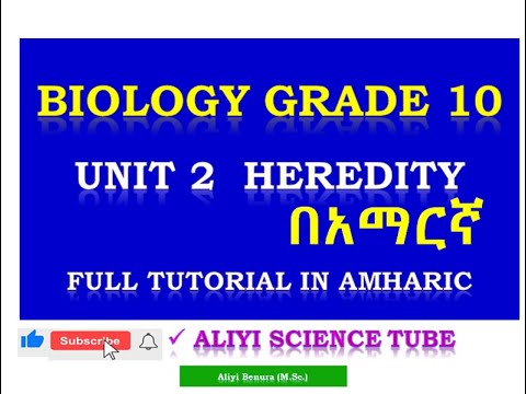 ቪዲዮ: ክሎኒንግ mitosis ነው ወይስ meiosis?