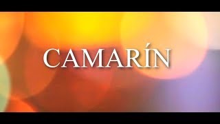 Babasonicos - Camarín (Letra)