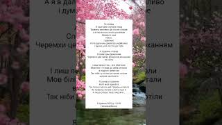 А тиша співає Твоє лиш ім'я 🎶🌸 Наталка Весна
