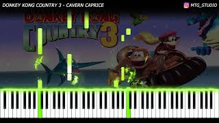 Donkey Kong Country 3 - Cavern Caprice | PIANO COVER | HOW TO PLAY