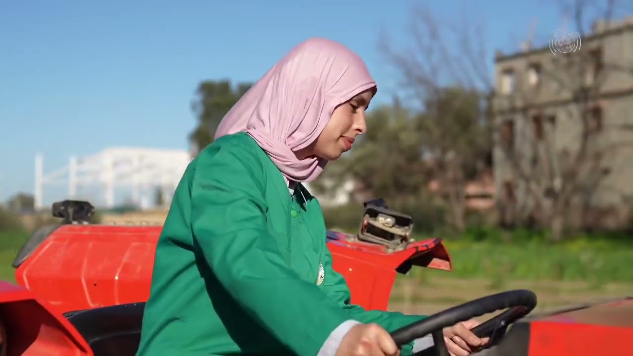 كل التوفيق و النجاح لكم جميعا في الدخول التكويني لدورة فيفري 2026 🇩🇿