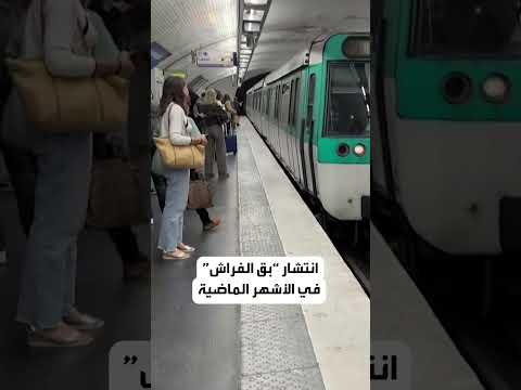 البق يضرب مجددا في فرنسا ويعيد رعب الأشهر الماضية ما الذي يجري