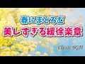 【癒しのクラシックBGM】ゆったり春のまどろみ　眠くなる　美しい緩徐楽章　モーツァルト/ショパン/バッハ他　BGM Classical Music