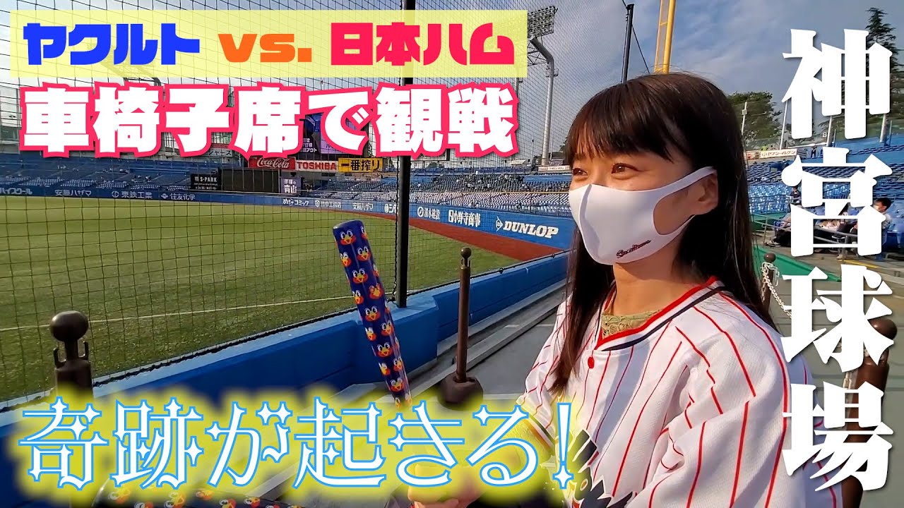 車椅子席 野球初心者が神宮球場で野球観戦したら奇跡が起こった バリアフリー Youtube