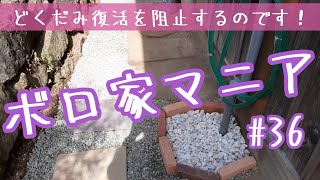 【ボロ家マニア】#36 手作りアンティークレンガ風でDIY　どくだみジャングル復活を3,000円で阻止する！　おばさんだってDIY