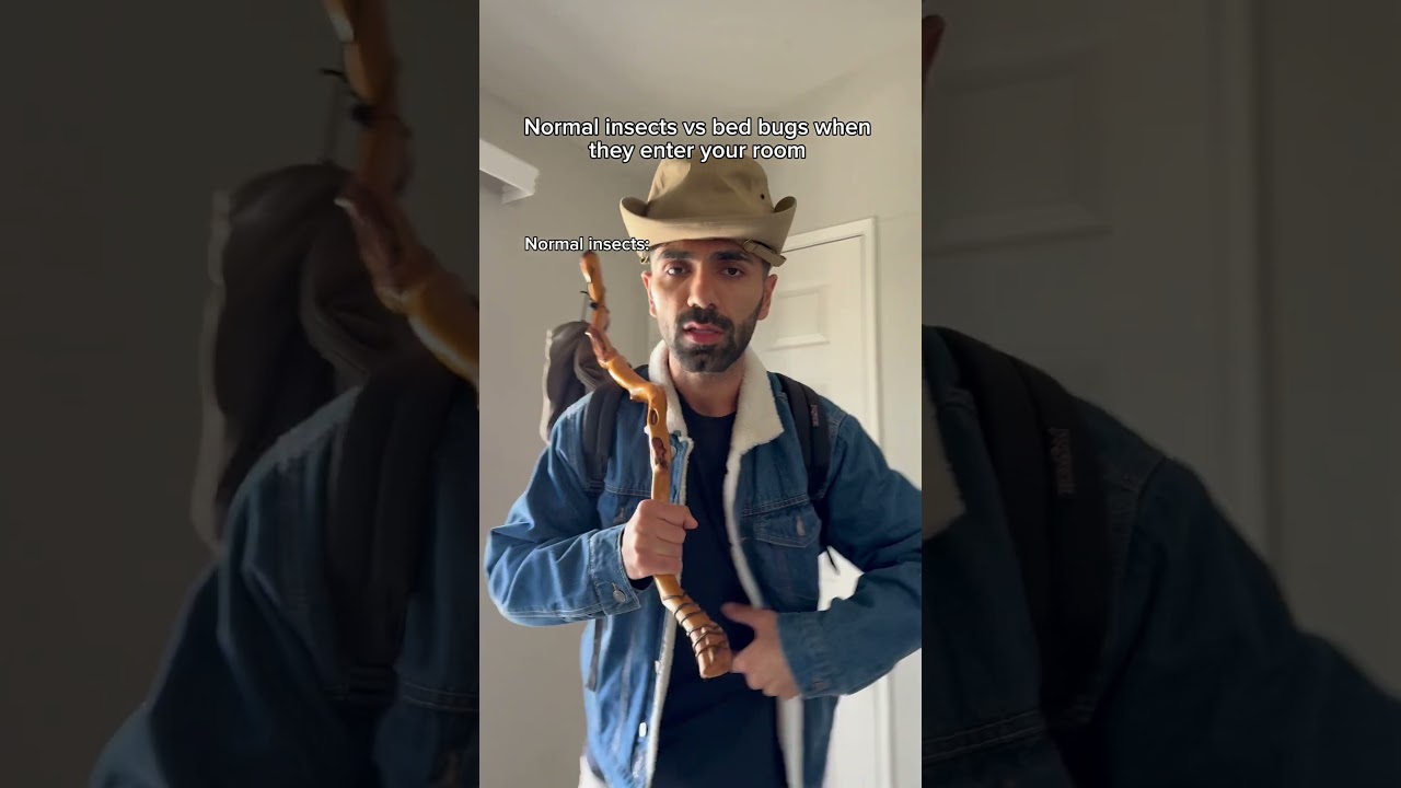 Normal insects vs bed bugs when they enter your room. 