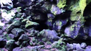 龍宮洞穴 Youtube 龍宮洞穴 Youtube
