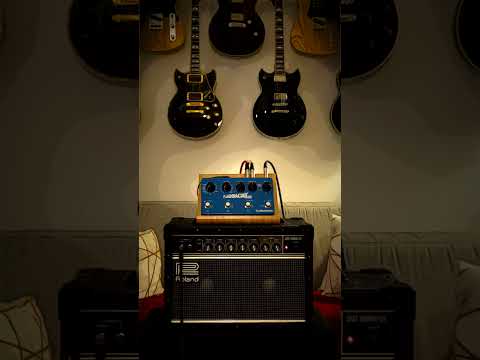 TC Electronic Flashback