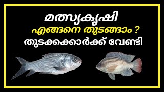 FishFarming part:6 മീൻ കൃഷി തുടങ്ങുവാൻ താൽപര്യമുണ്ടോ ?| how to start fish farming basic informations