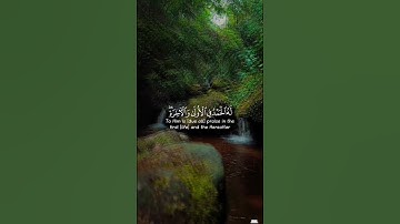 surah al-kasas سورة القصص #اكسبلور #دويتو #دعاء #ذكر_الله #المصحف #القرآن_الكريم
