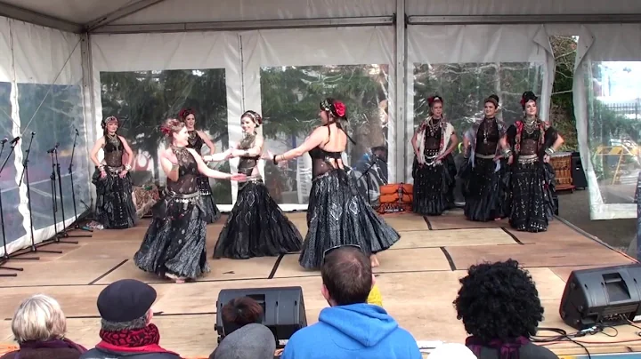 Rajasthani / Flamenco Fusion Trio at Winter Magic ...