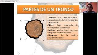 LA MADERA, CARACTERISTICAS, PROPIEDADES, PARTES