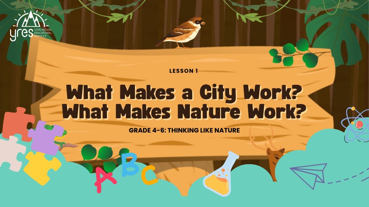 🌿 Biomimicry for Kids | Virtual Science Lesson
