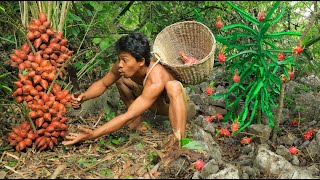 survival in the forest , Harvesting fruits in the forest