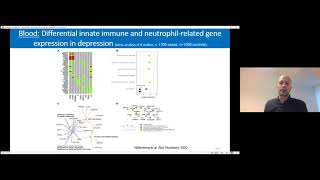 Observational research in immunopsychiatry: state of the art and future goals screenshot 2