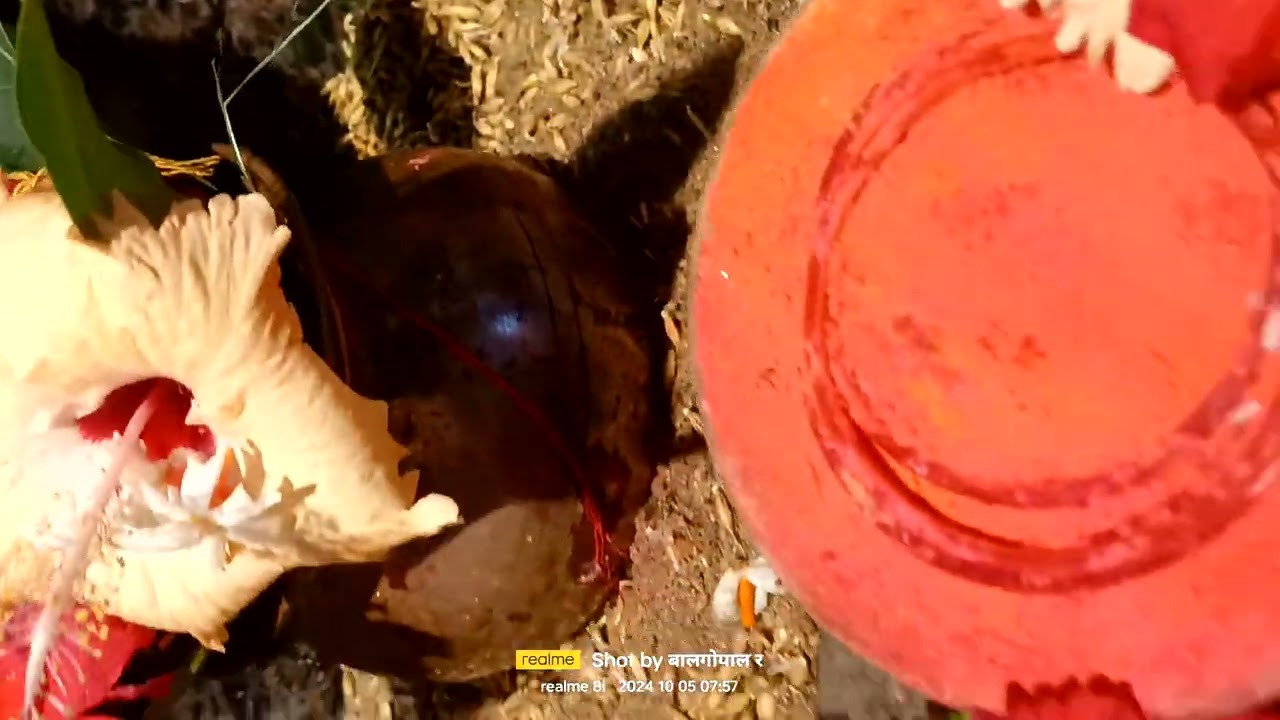 जय माता दी