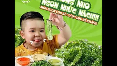 RONG NHO NAMISO "TRỊ BỆNH" LƯỜI ĂN RAU Ở TRẺ | SACDEPVINHCUU.VN