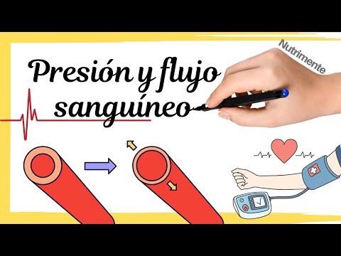 Blood Pressure and Blood Flow Control