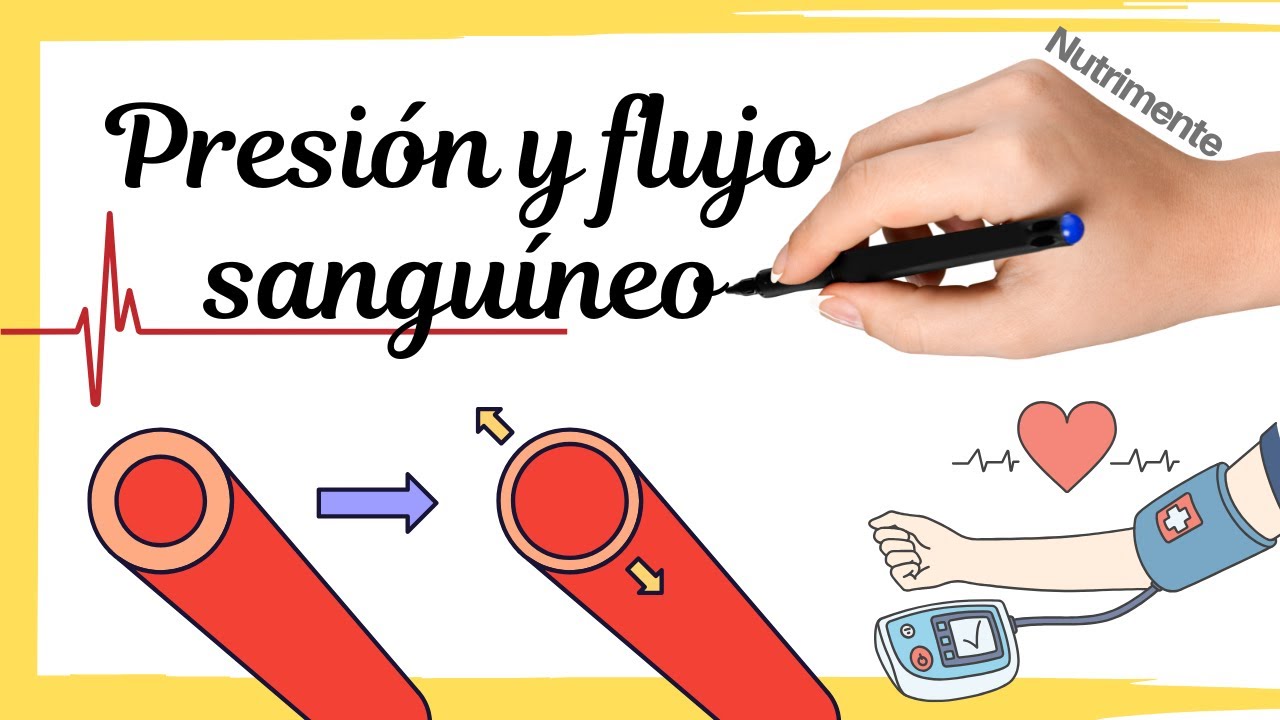 Control de la Presión Arterial y el Flujo Sanguíneo