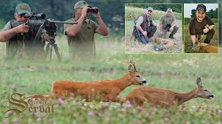 Roe Deer Hunting in Croatia  Djelekovec 2022.